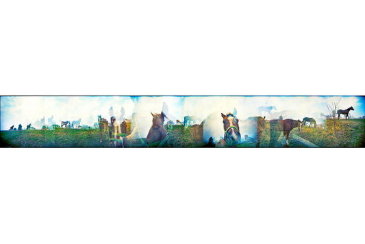 Overlapping multiple exposure shot on film of horses
