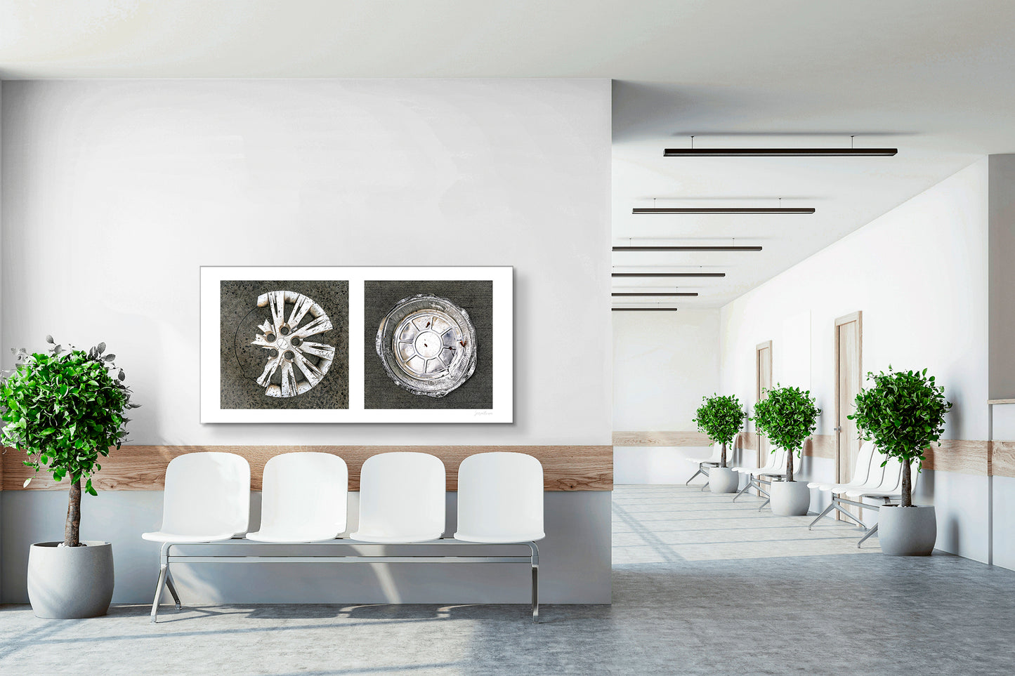 Diptych photograph of found objects round in shape (hubcap and pie pan)