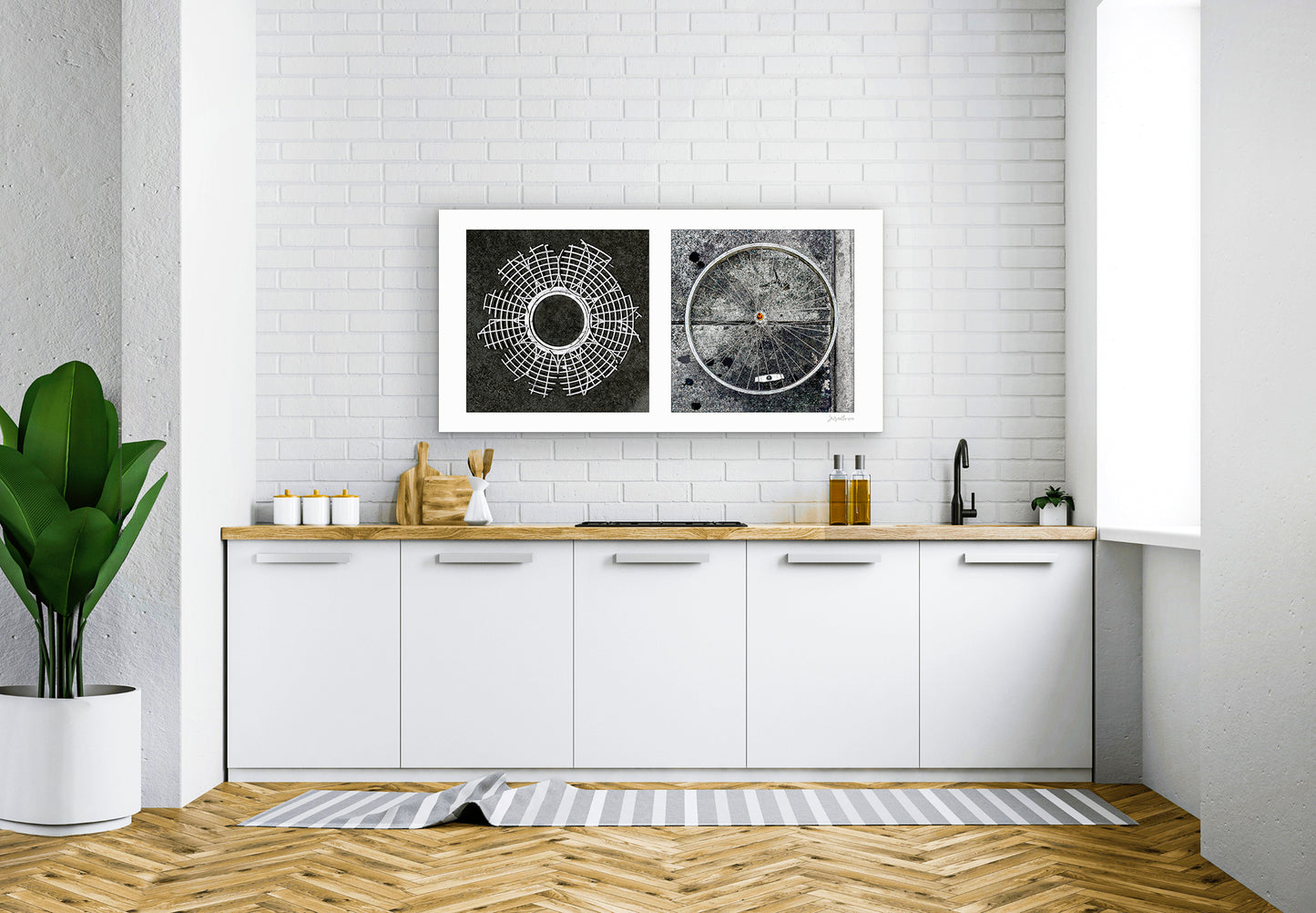 Diptych photograph of found objects round in shape (radiating lines)