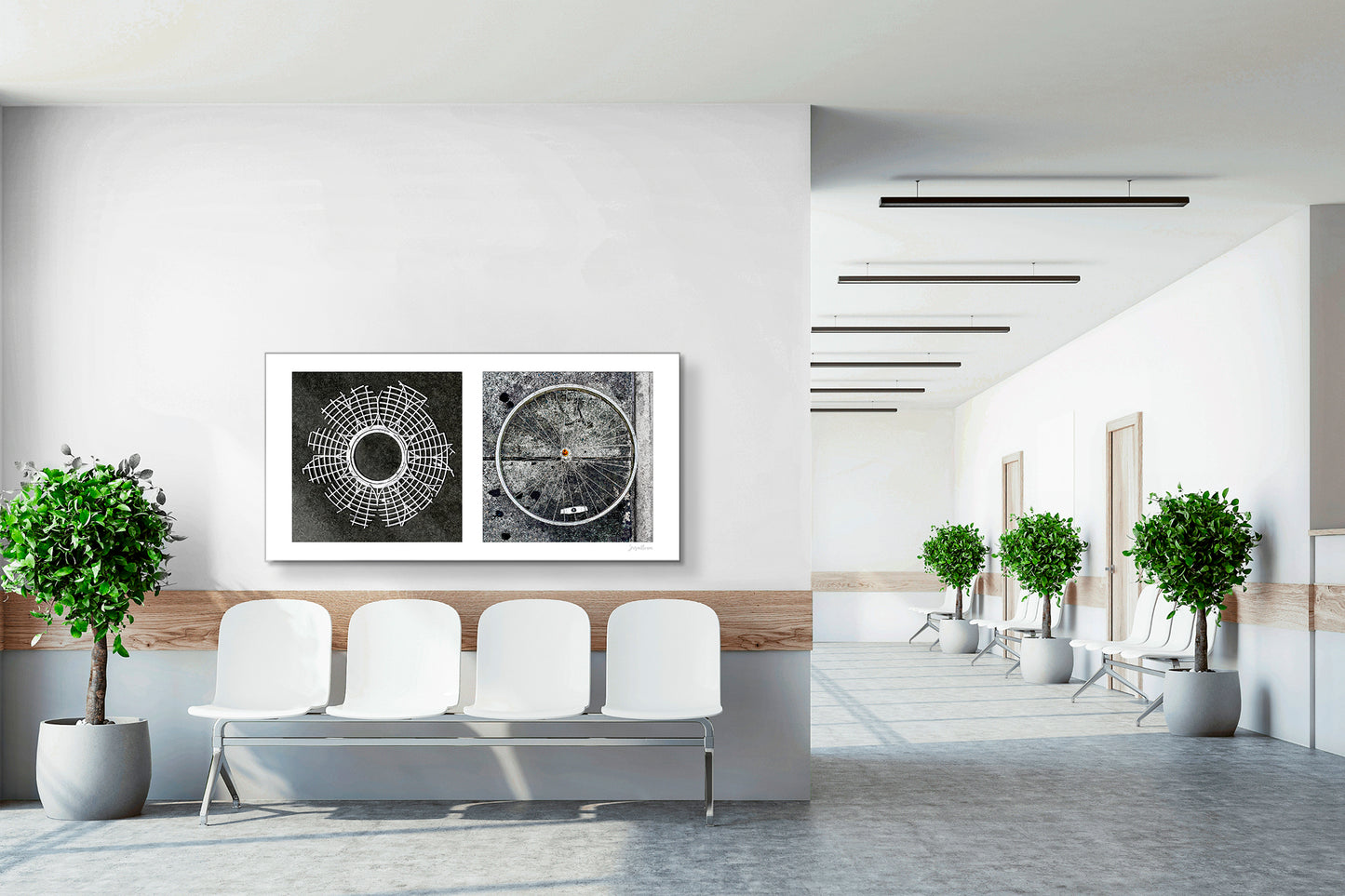 Diptych photograph of found objects round in shape (radiating lines)