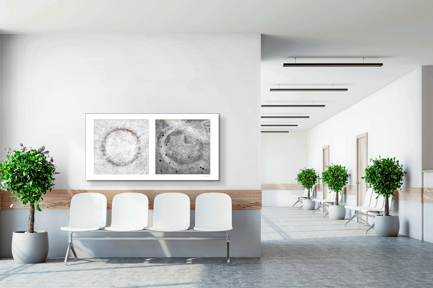 Diptych photograph of found objects round in shape with celestial look