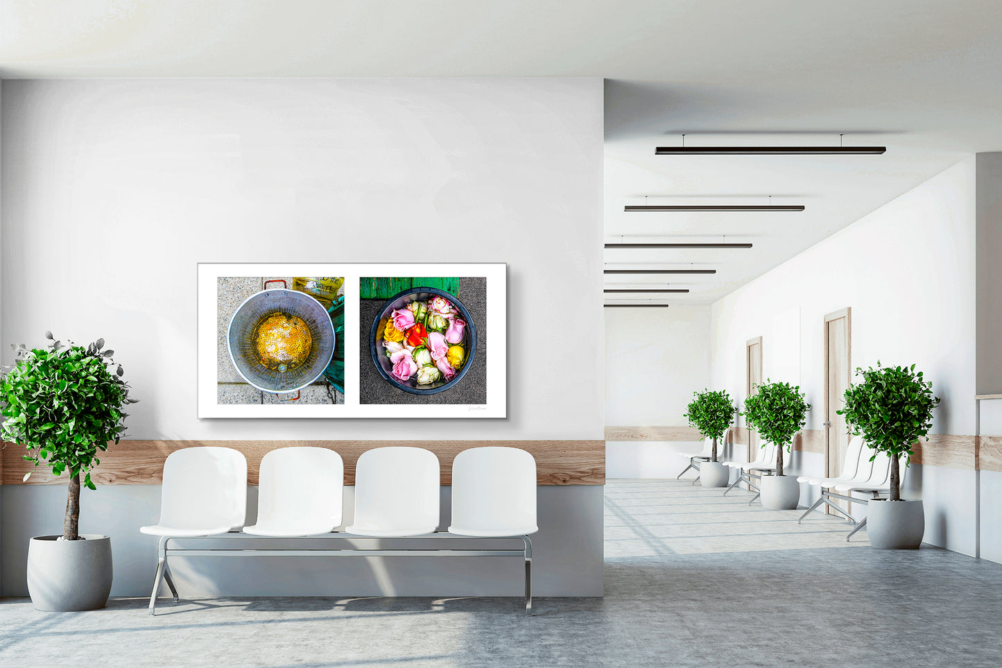 Diptych photograph of found objects round in shape with flowers