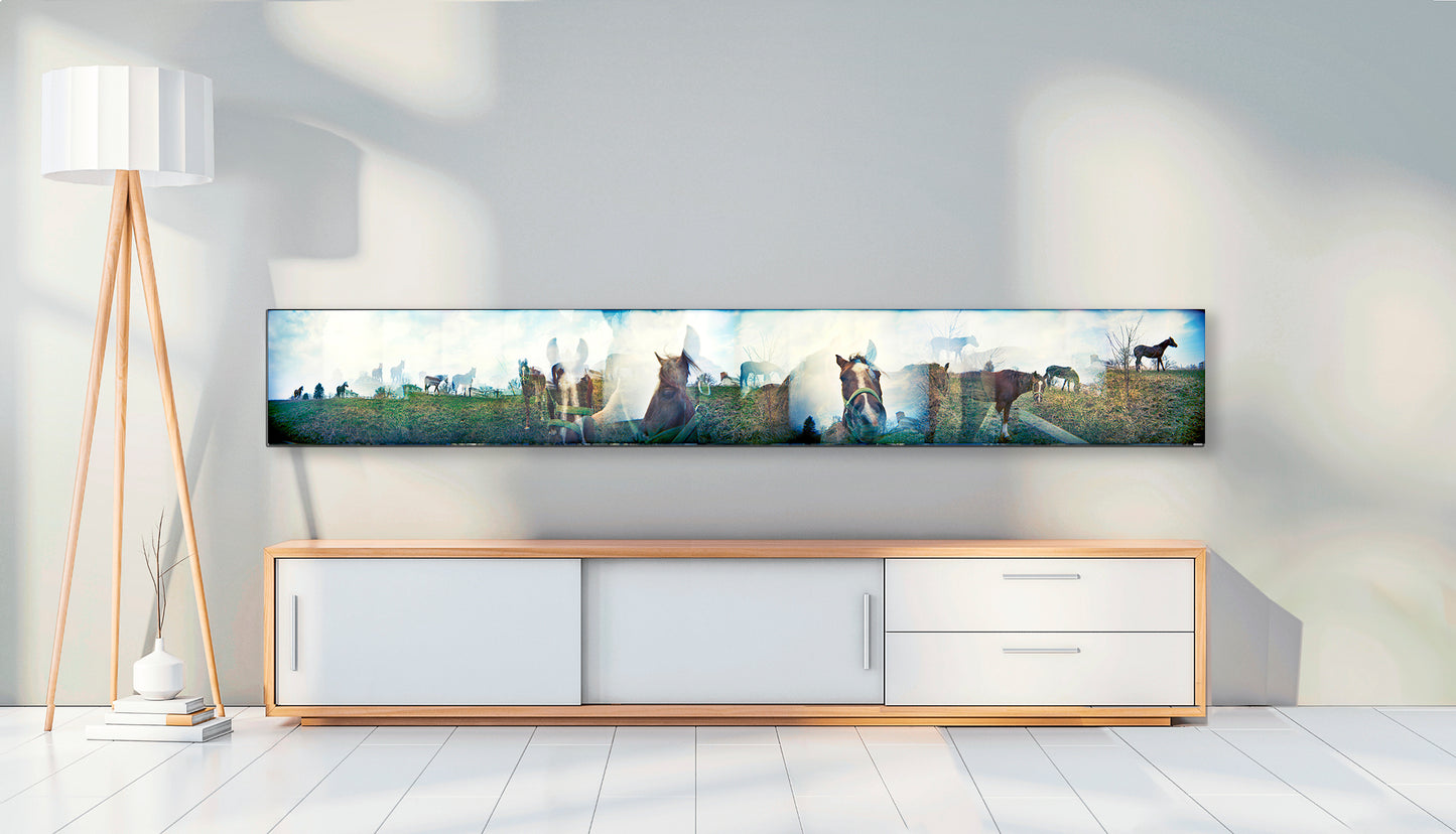 Overlapping multiple exposure shot on film of horses