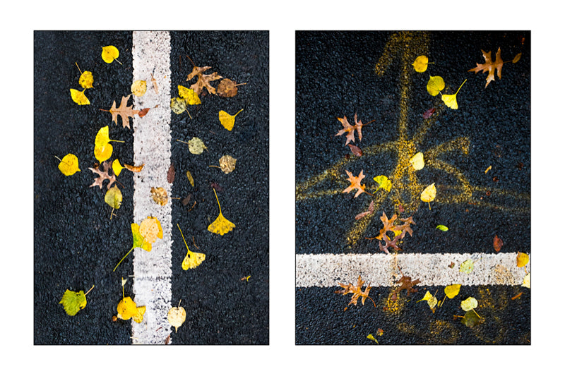 >> Special Fall 2025 Sale <<