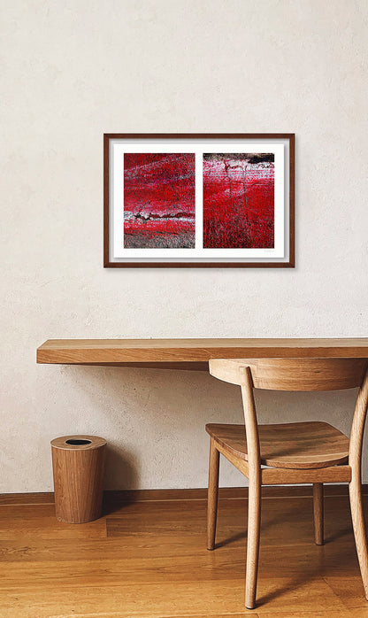 Abstract photograph diptych of red road surfaces