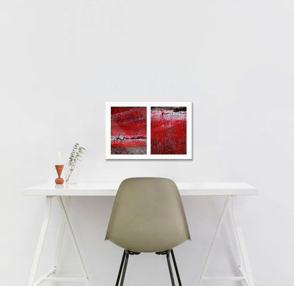 Abstract photograph diptych of red road surfaces