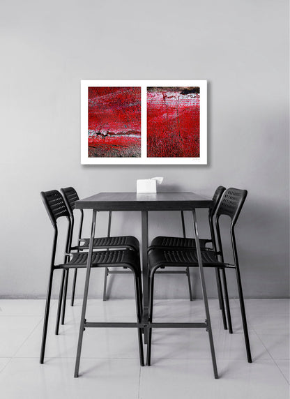 Abstract photograph diptych of red road surfaces