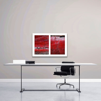 Abstract photograph diptych of red road surfaces
