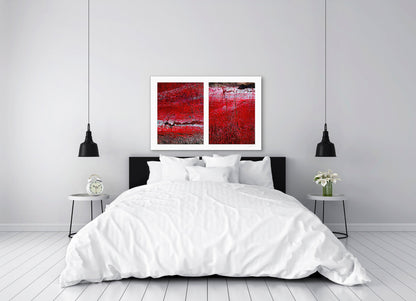 Abstract photograph diptych of red road surfaces