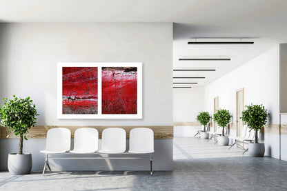 Abstract photograph diptych of red road surfaces