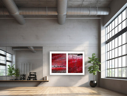 Abstract photograph diptych of red road surfaces
