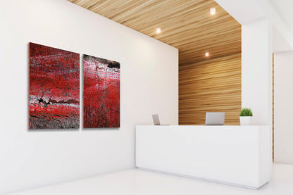 Abstract photograph diptych of red road surfaces