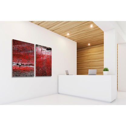 A diptych with two red panels, each featuring a textured surface with cracks and layered paint, resembling geological erosion and urban decay.