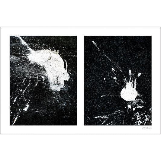 Conversing White Blobs artwork by Susan Bowen. Features high-contrast diptych of two white paint forms on black asphalt—one gestural mass, one compact bloom—in pure monochrome abstraction.