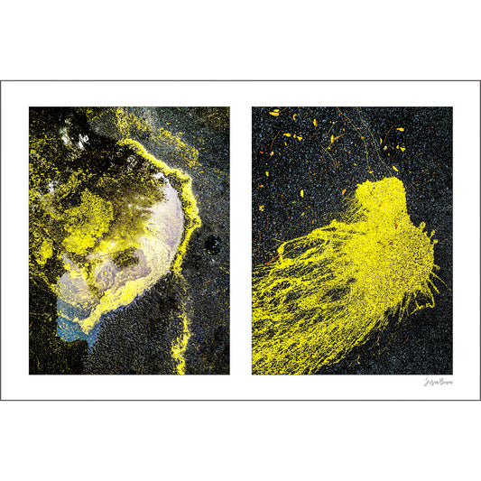 Yellow in Water and Fleeing Bug artwork by Susan Bowen. Features yellow pollen on water paired with a yellow paint spill on asphalt—a diptych uniting two vivid, organic street abstractions.