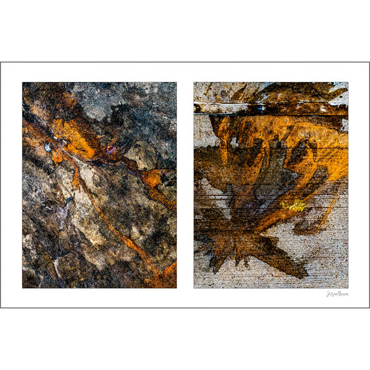 Coffee Ground Abstract artwork by Susan Bowen. Features coffee grounds stain city pavement in warm amber and orange tones—an abstract diptych of gestural organic forms on urban surfaces.