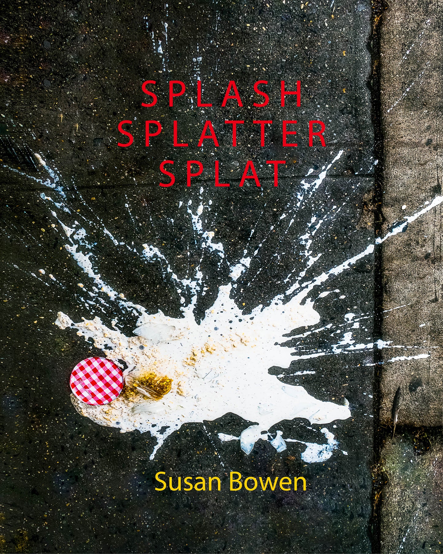 Splash, Splatter, Splat (108 pages)