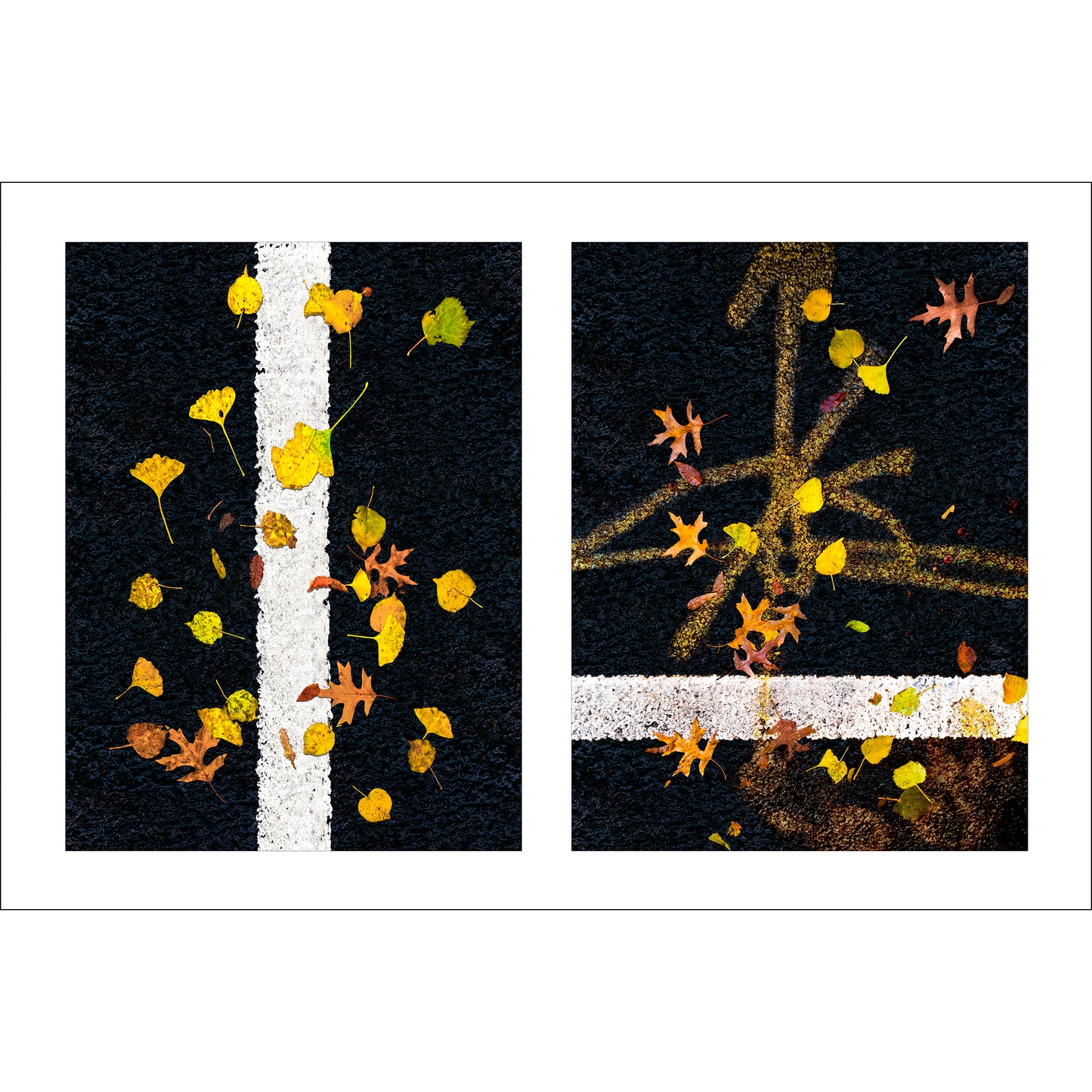Abstract photograph diptych of leaves on street lines