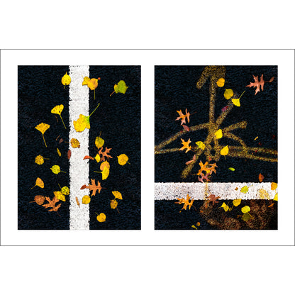 Abstract photograph diptych of leaves on street lines