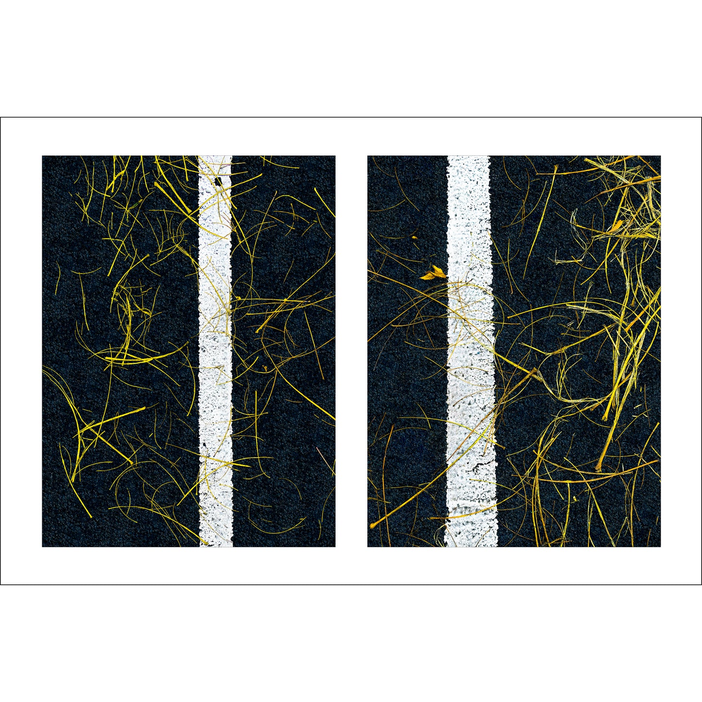 Abstract photograph diptych of twigs on street lines