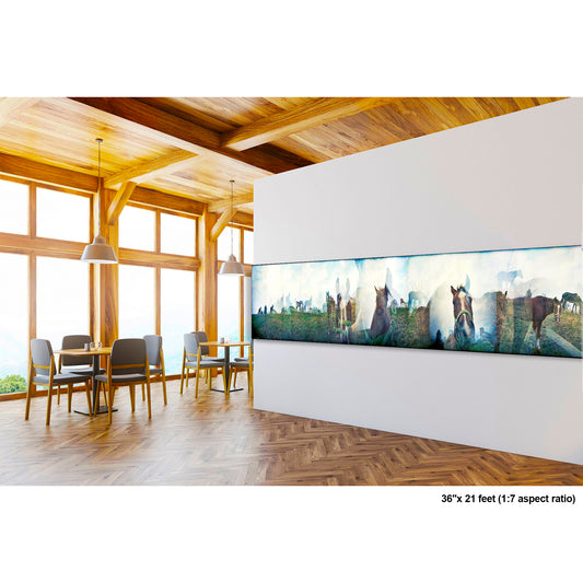 Iowa Horses artwork by Susan Bowen, shown as 36" high acrylic print. Features panoramic multi-exposure photograph of a horse in an Iowa field, layering movement and stillness into a quiet, meditative rural composition.