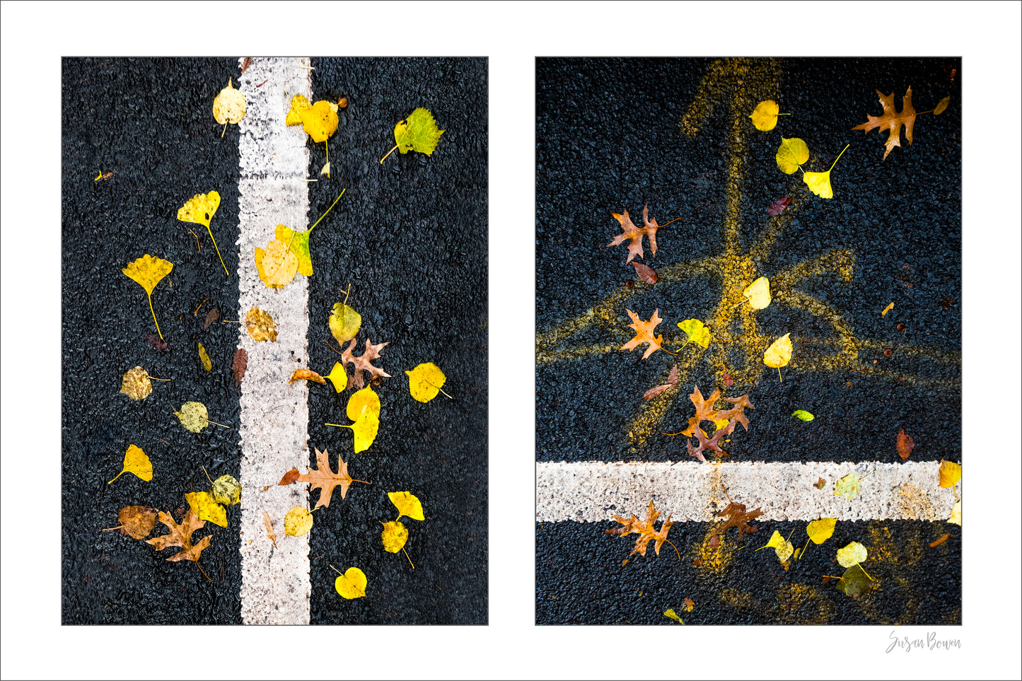 Street Lines #01: Street Lines and Yellow Leaves (small sale size)