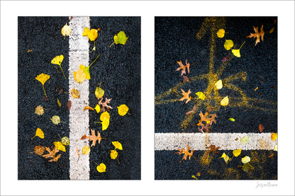 Street Lines #01: Street Lines and Yellow Leaves (small sale size)